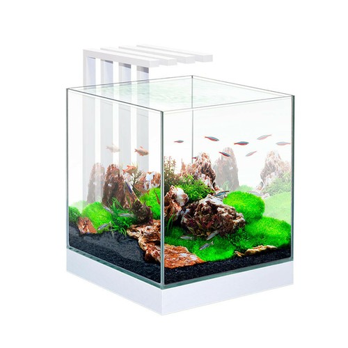 Acquario ciano nexus pure - acquario,